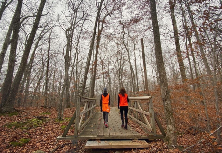 35 Camden Maine Hiking Trails to Explore in 2024